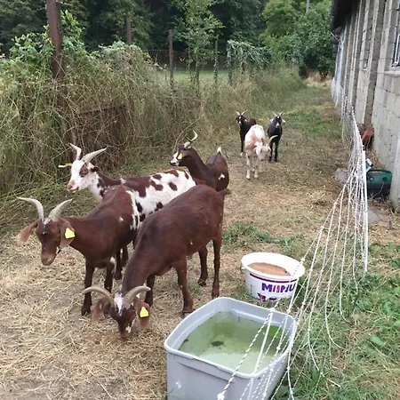 Tatil Evi Maison De Marius Et Maison D Amelie *