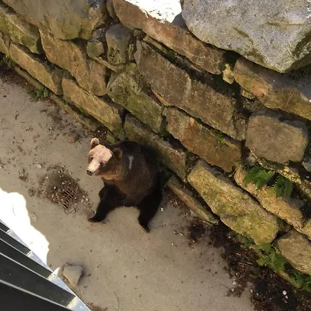 Maison De Marius Et Maison D Amelie * Estenos