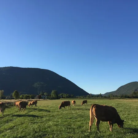 Maison De Marius Et Maison D Amelie Tatil Evi Estenos