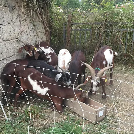 Tatil Evi Maison De Marius Et Maison D Amelie
