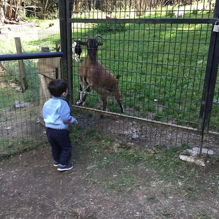 بيت للعطل Maison De Marius Et Maison D Amelie