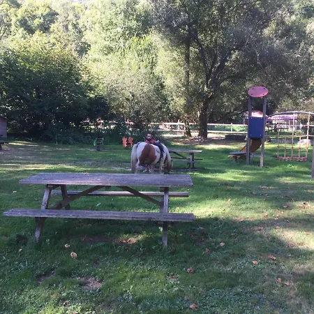 Maison De Marius Et Maison D Amelie