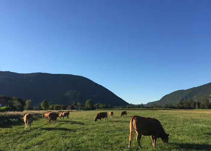 Maison De Marius Et Maison D Amelie Дом отдыха Estenos